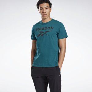 Reebok Graphic Series Stacked T Shirt Herren - Türkis - DE 580-SFY